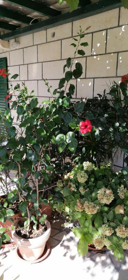 Apartment In Bol With Sea View, Terrace, Air Conditioning,Wifi 3634-2 Екстериор снимка
